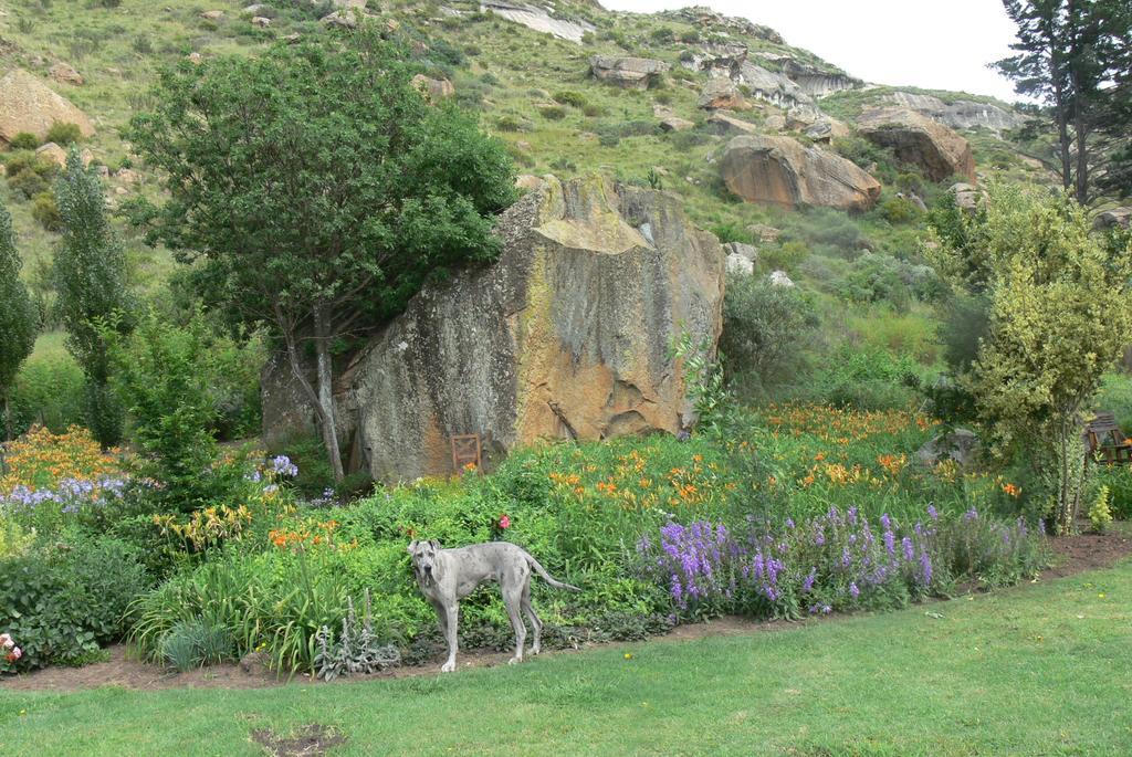 Aspen Guest House Clarens Eksteriør bilde