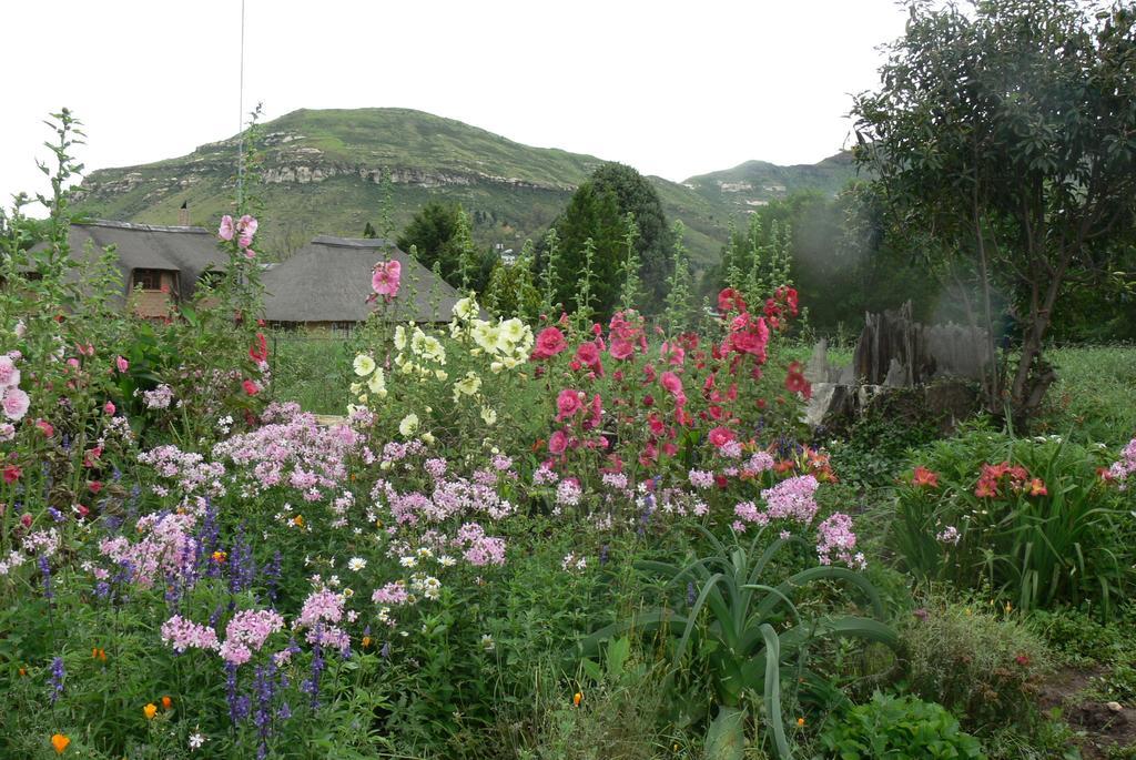Aspen Guest House Clarens Eksteriør bilde